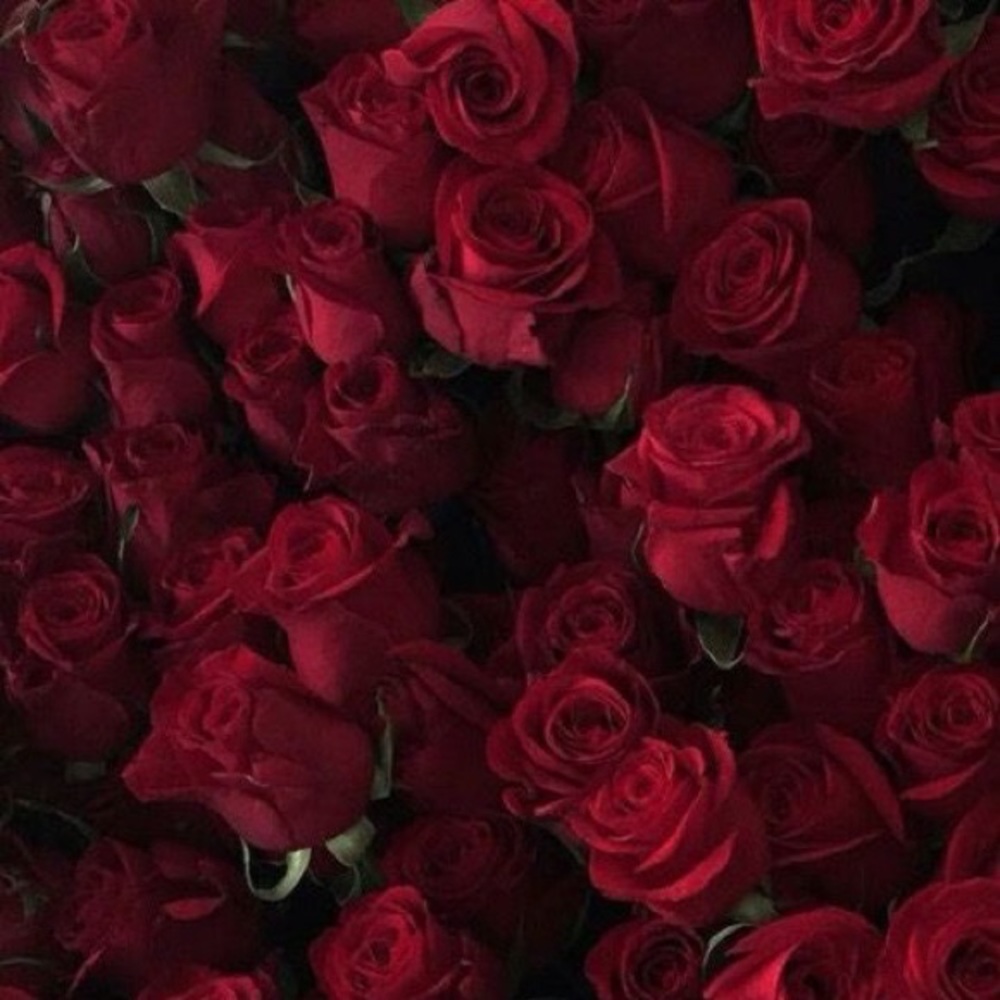 Meet your Posher, Isabelle